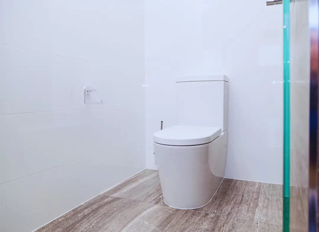 Remplacement de wc Fenouillet